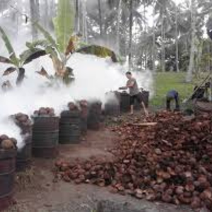 Coconut Shell Briquettes - Gambar 3
