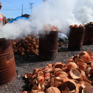 Coconut Shell Briquettes - Gambar 5